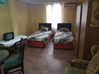 Гостевой дом Guest House Batumi Батуми Бюджетный двухместный номер с 2 отдельными кроватями-7